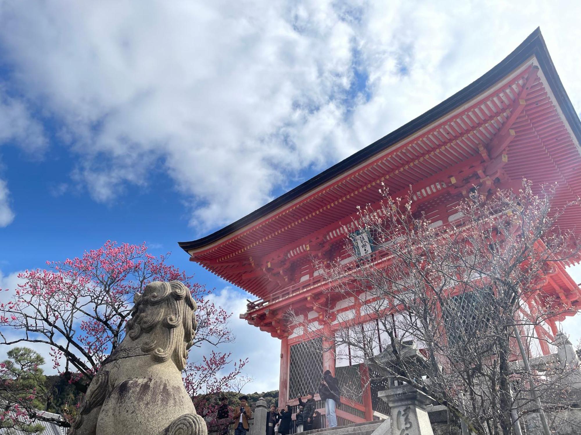 アマネク京都河原町五条 3* 京都市